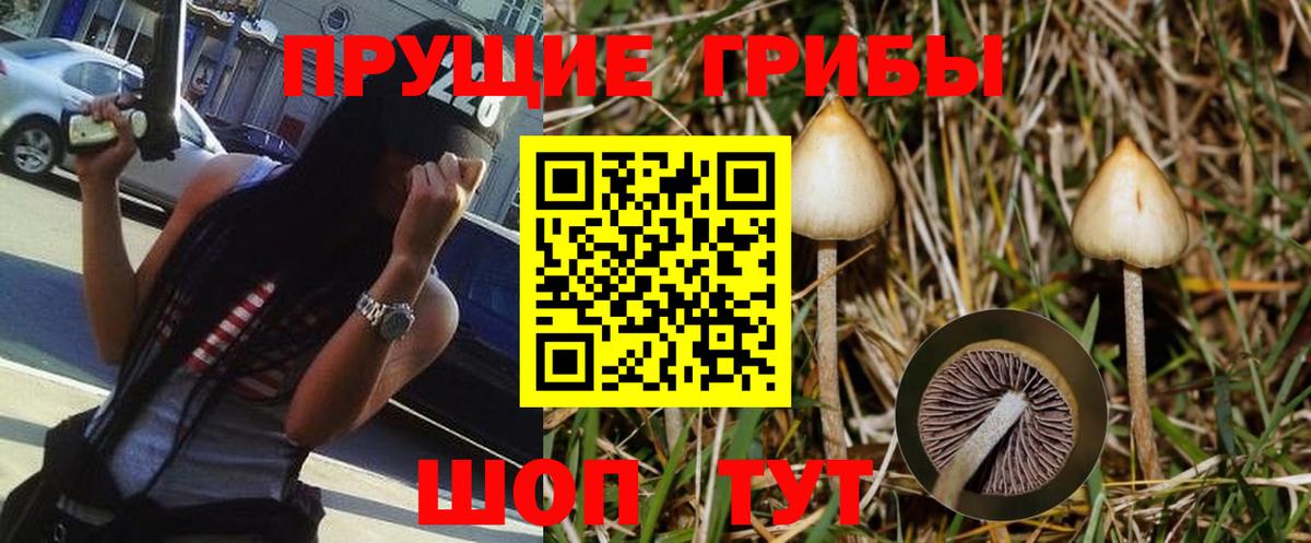Галлюциногенные грибы Magic Shrooms  Вход с VPN  как найти   Щёлково 
